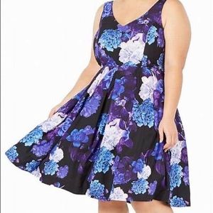 City Chic Women Black purple floral Printed size XL/22W